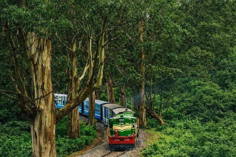 Ooty