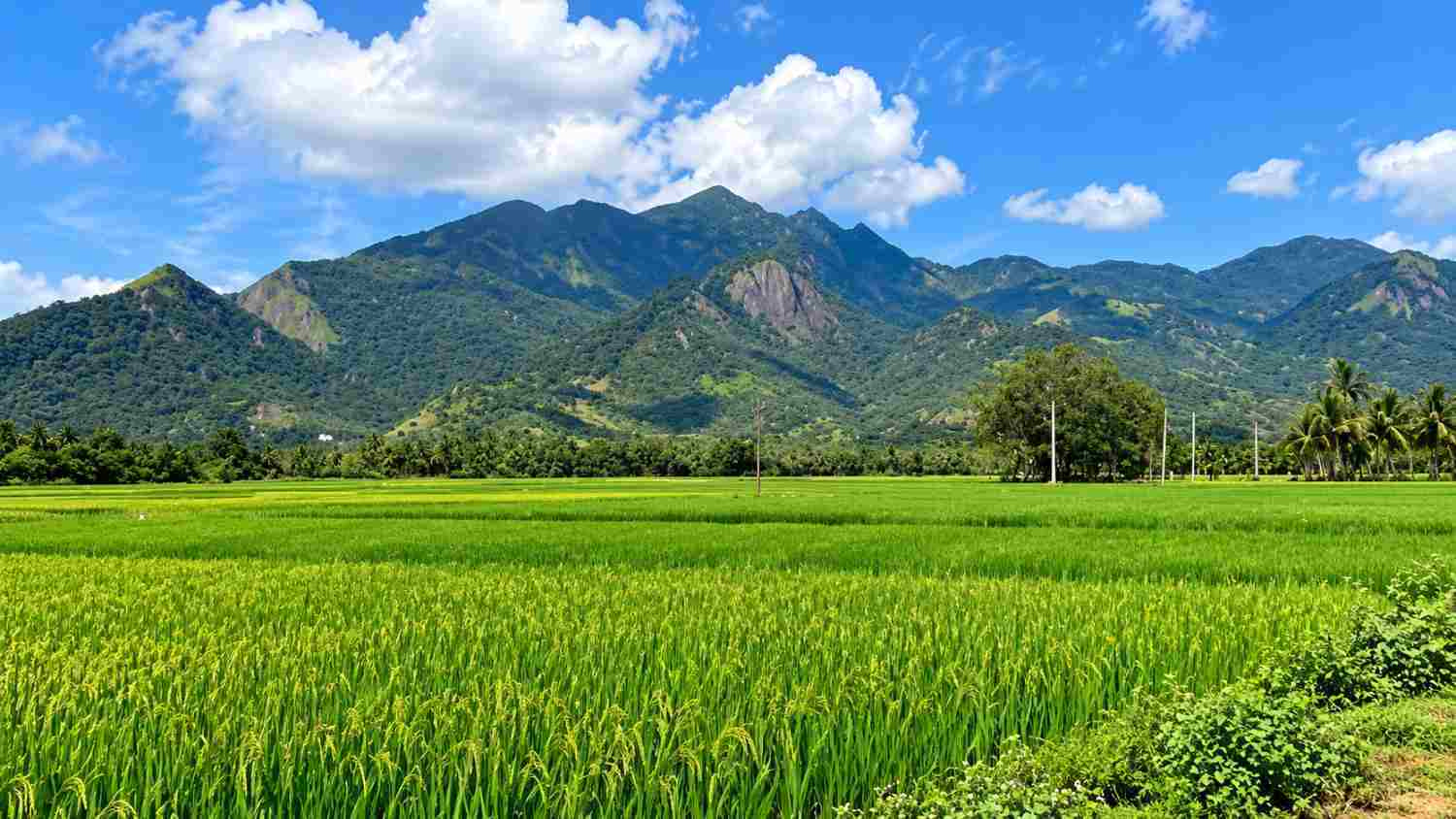 Thenkasi